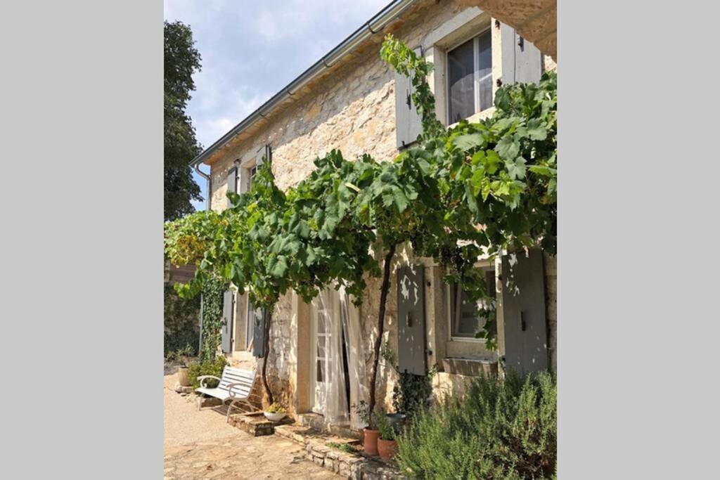 Ferienhaus Villa Alisia, Wunderschoenes Natursteinhaus Bei Porec, Istrien, Kroatien Vranje Selo Экстерьер фото